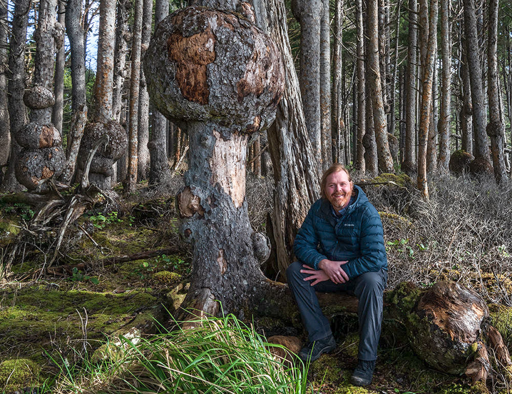 A man sits beside a tree